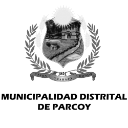 Municipalidad Distrital de Parcoy